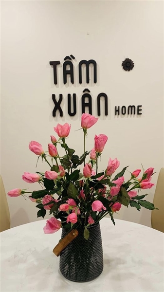 TamXuan Home