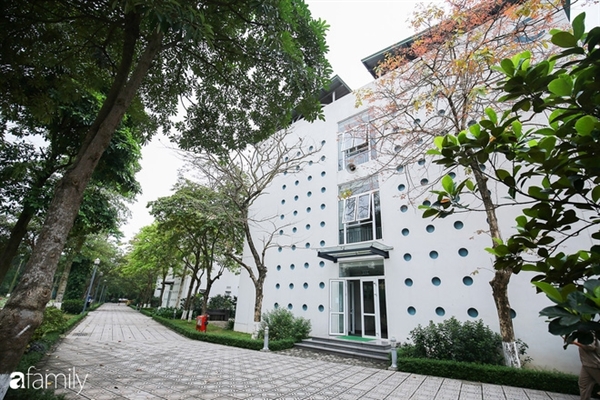 Trường liên cấp Greenfield